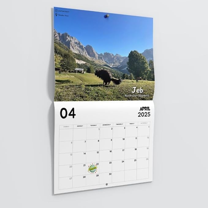 2025 Wall Calendar, Dogs Pooping in Beautiful Places, Funny Gag Gift, 9 x 7 inches