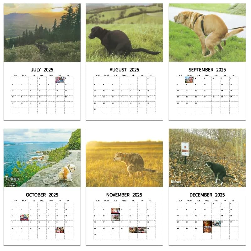 2025 Wall Calendar, Dogs Pooping in Beautiful Places, Funny Gag Gift, 9 x 7 inches