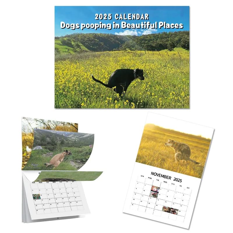 2025 Wall Calendar, Dogs Pooping in Beautiful Places, Funny Gag Gift, 9 x 7 inches