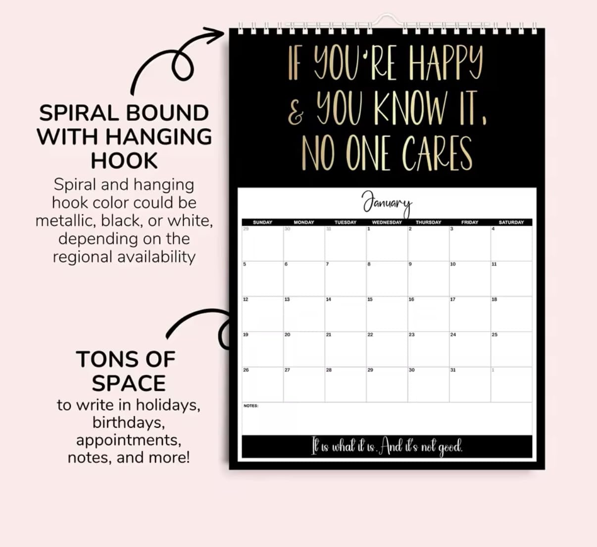 Uninspiring Affirmations, 2025 Anti-Motivational Calendar, 12 x 9 inches