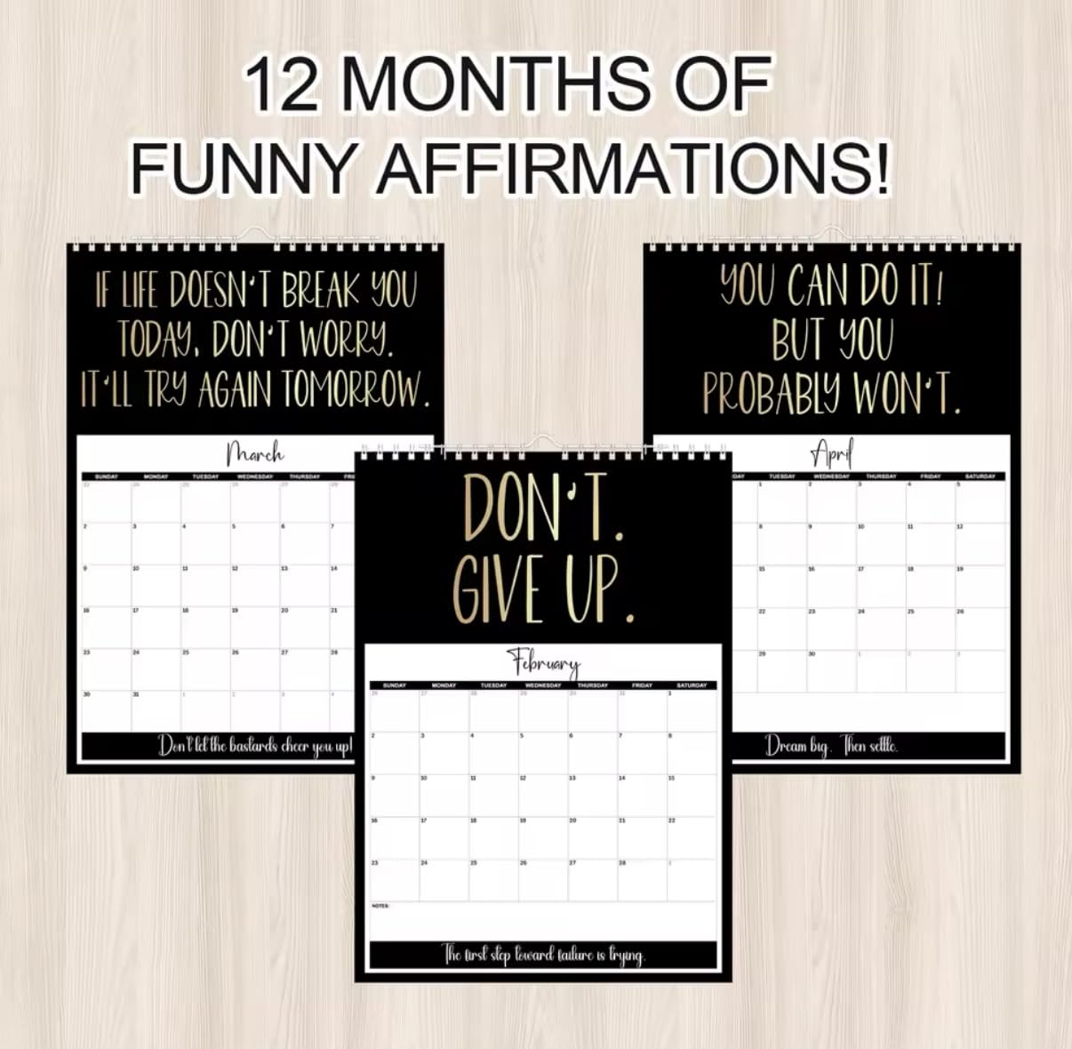 Uninspiring Affirmations, 2025 Anti-Motivational Calendar, 12 x 9 inches