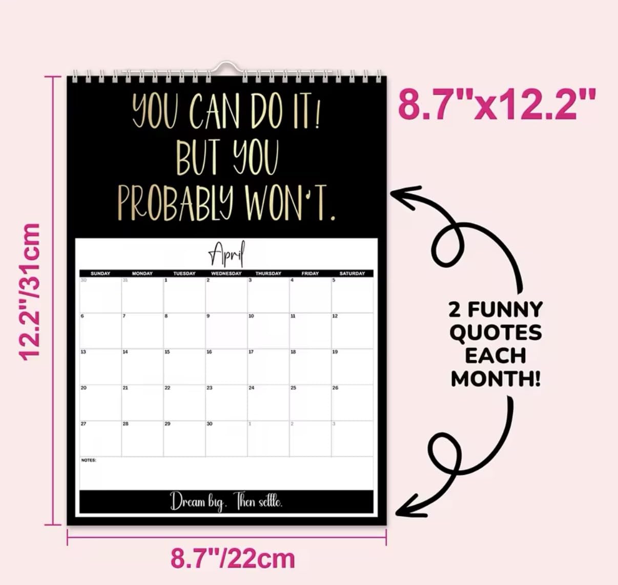 Uninspiring Affirmations, 2025 Anti-Motivational Calendar, 12 x 9 inches