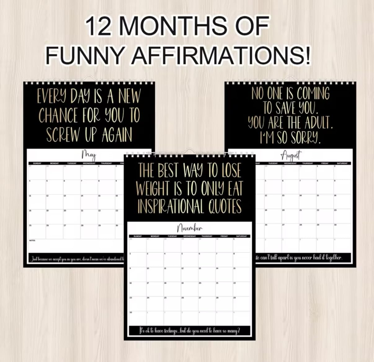 Uninspiring Affirmations, 2025 Anti-Motivational Calendar, 12 x 9 inches