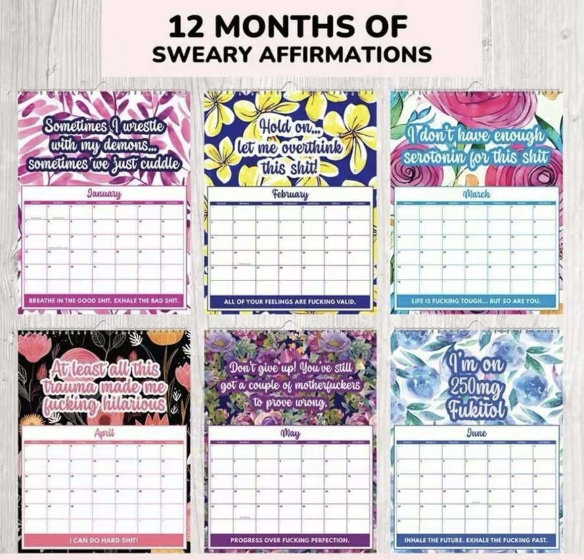 2025 Sweary Mental Health Calendar, One Day at a Fucking Time, Floral Design